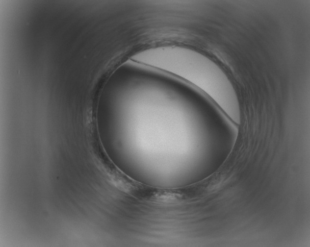 X0000072920407200607210911