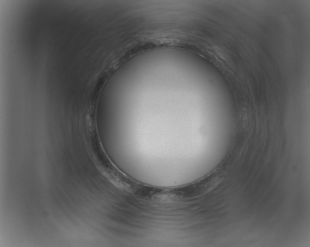 X0000072920408200607210911