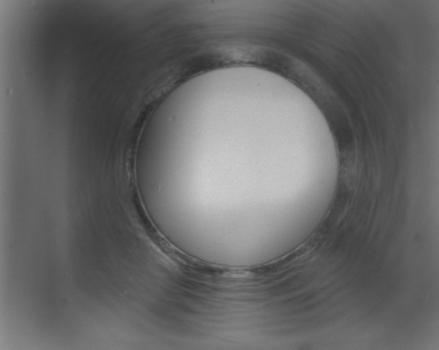 X0000072920410200607210911