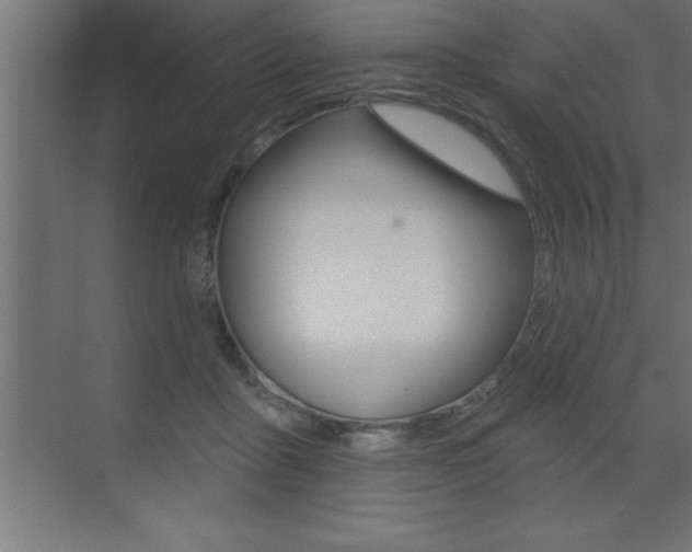 X0000072920411200607210911