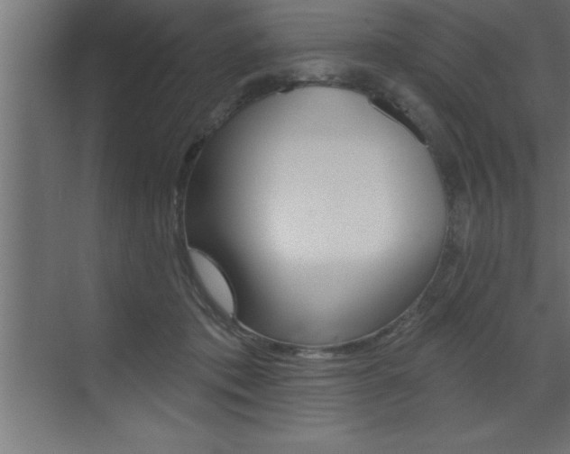 X0000072920413200607210911