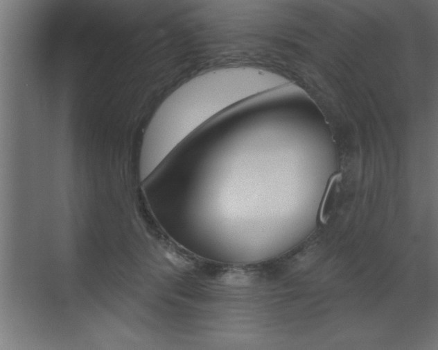 X0000072920416200607210911