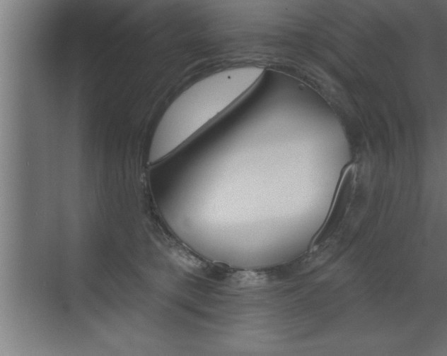 X0000072920421200607210911