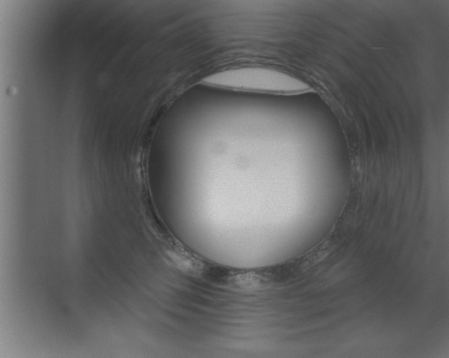 X0000072920423200607210911