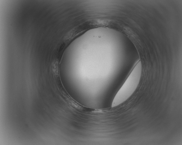 X0000072920425200607210911