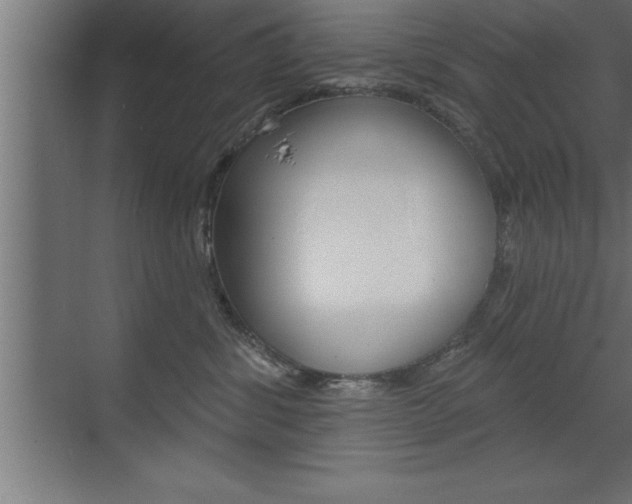 X0000072920428200607210911