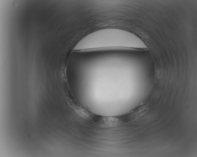 X0000072920429200607210911