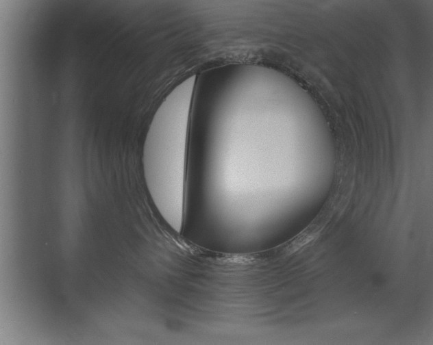 X0000072920432200607210911