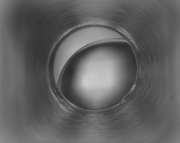 X0000072920436200607210910