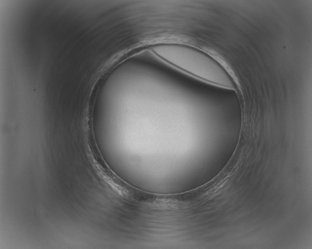 X0000072920437200607210910