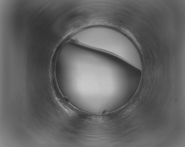 X0000072920439200607210910