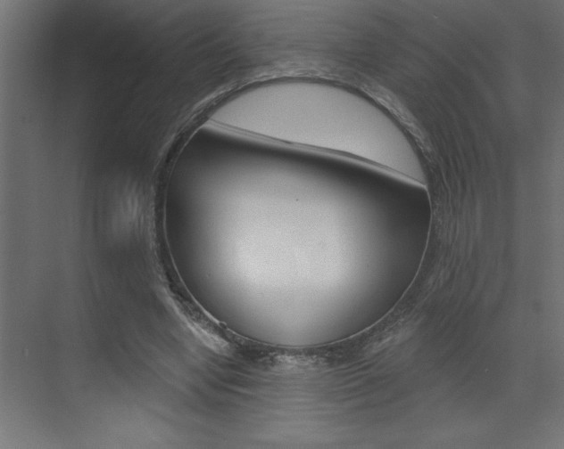X0000072920442200607210910