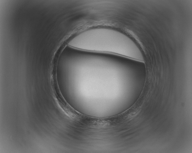 X0000072920443200607210910