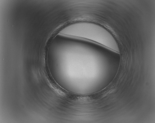 X0000072920446200607210910