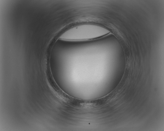 X0000072920448200607210910
