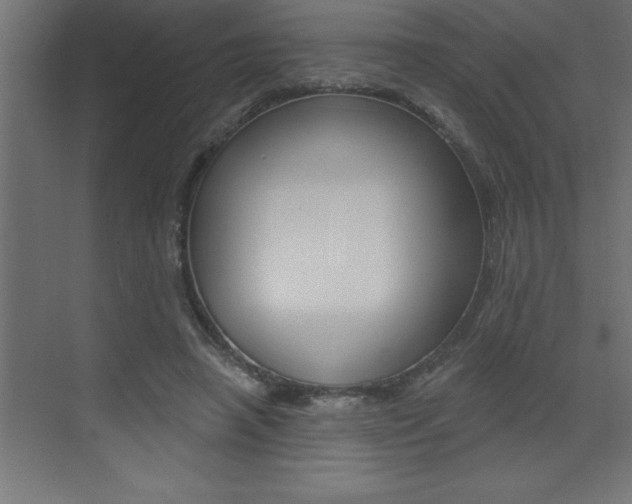 X0000072920450200607210910