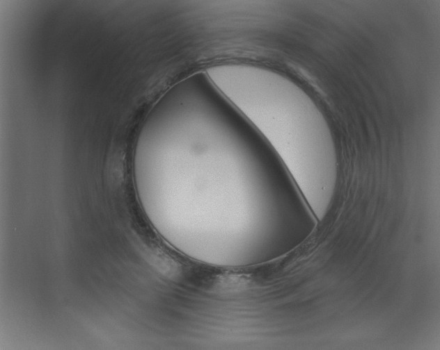 X0000072920451200607210910