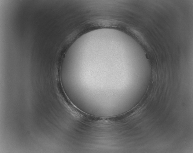 X0000072920453200607210910