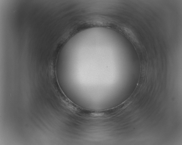 X0000072920457200607210910