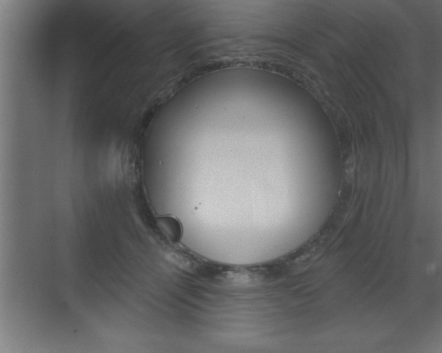 X0000072920464200607210911