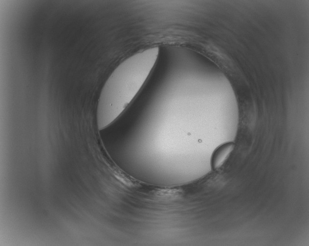 X0000072920465200607210911