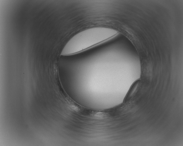 X0000072920467200607210911