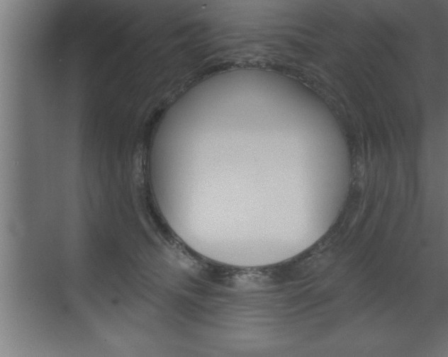 X0000072920468200607210911