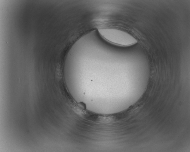 X0000072920469200607210911