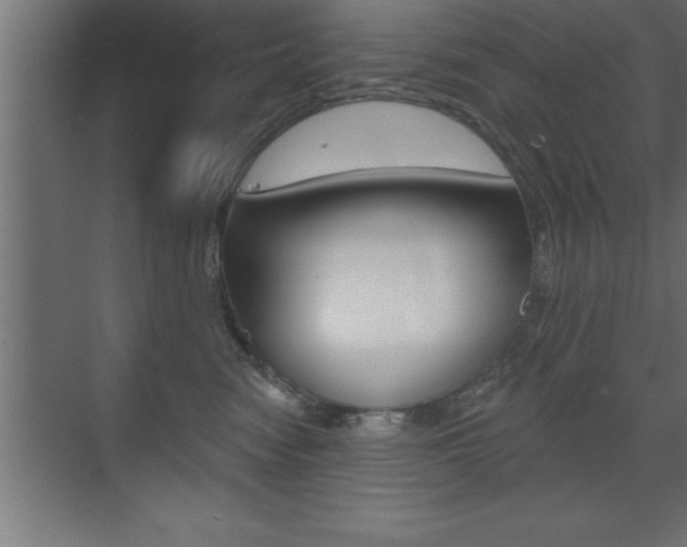 X0000072920474200607210911