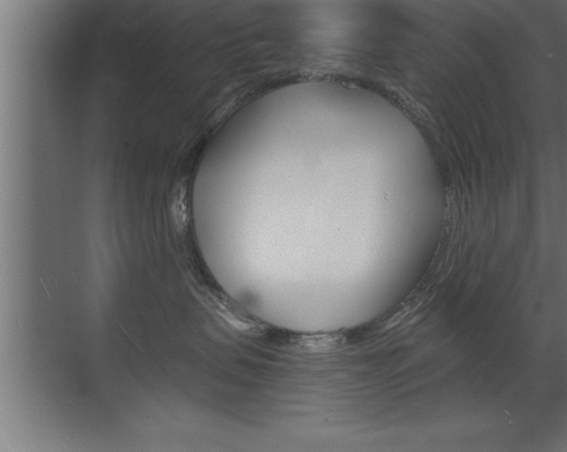 X0000072920479200607210911