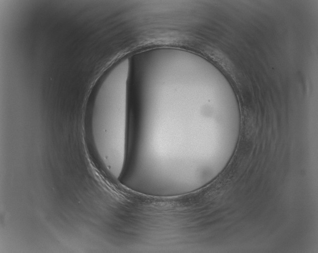 X0000072920482200607210910