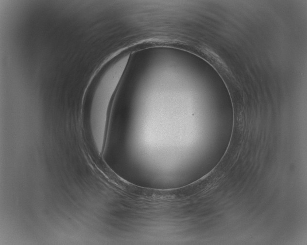 X0000072920484200607210910