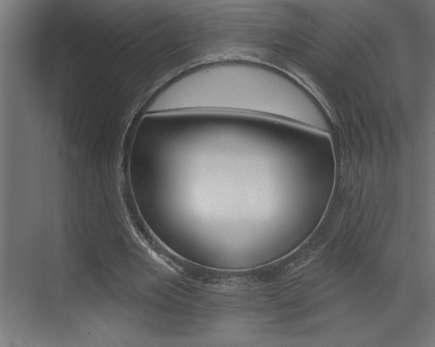 X0000072920485200607210910