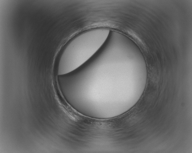 X0000072920486200607210910