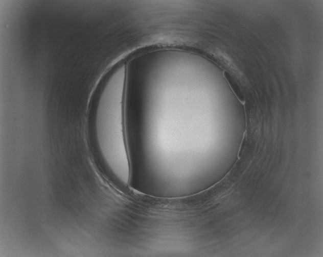 X0000072920488200607210910
