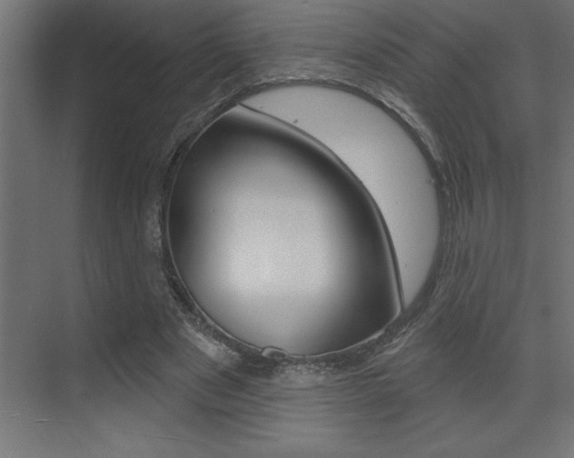 X0000072920489200607210910
