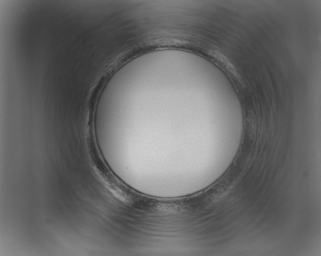 X0000072920490200607210910