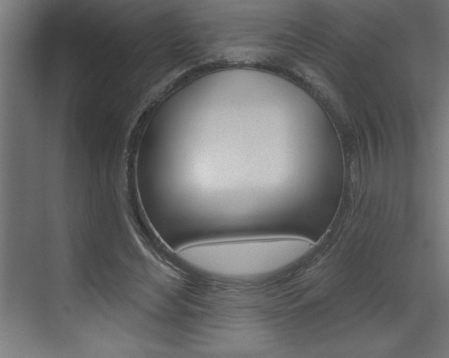 X0000072920492200607210910