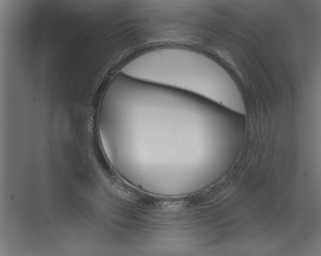 X0000072920495200607210910