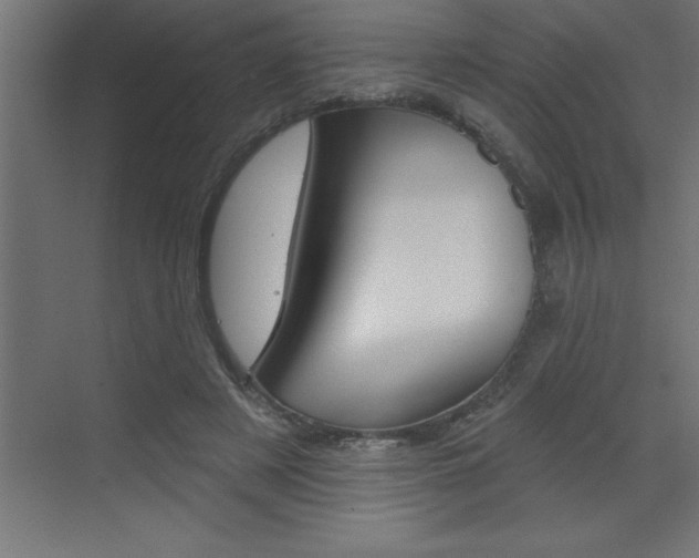 X0000072920497200607210910
