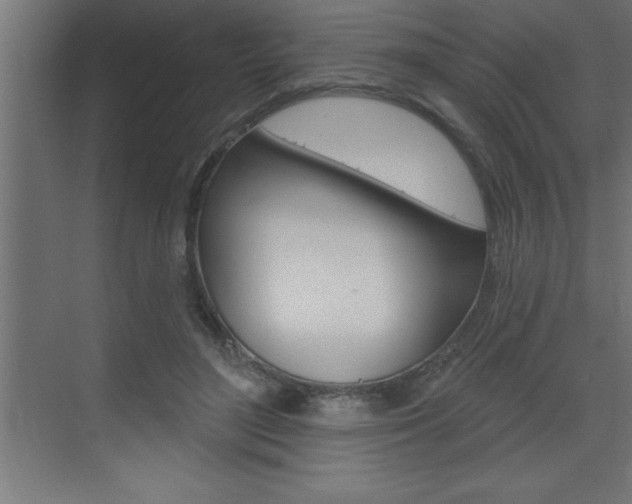X0000072920500200607210910