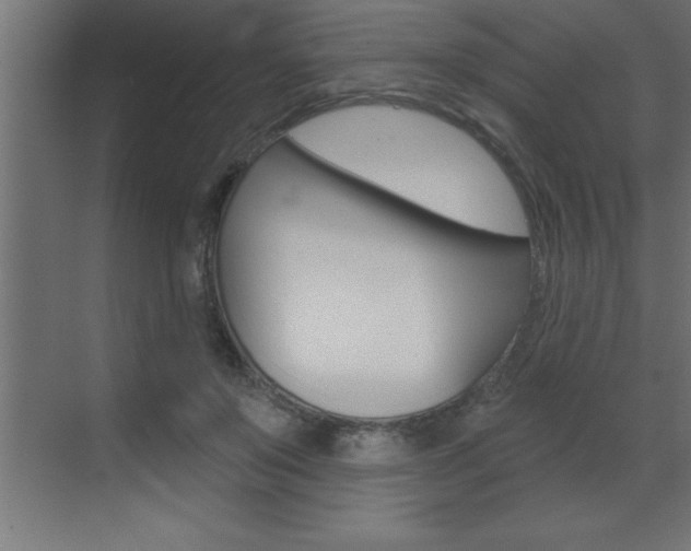 X0000072920503200607210910