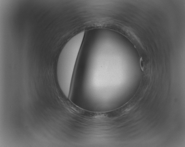 X0000072920505200607210910