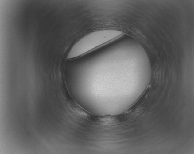 X0000072920516200607210909