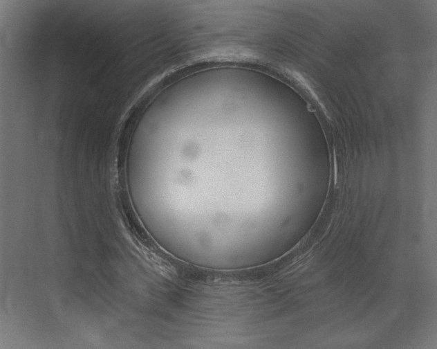 X0000072920531200607210908