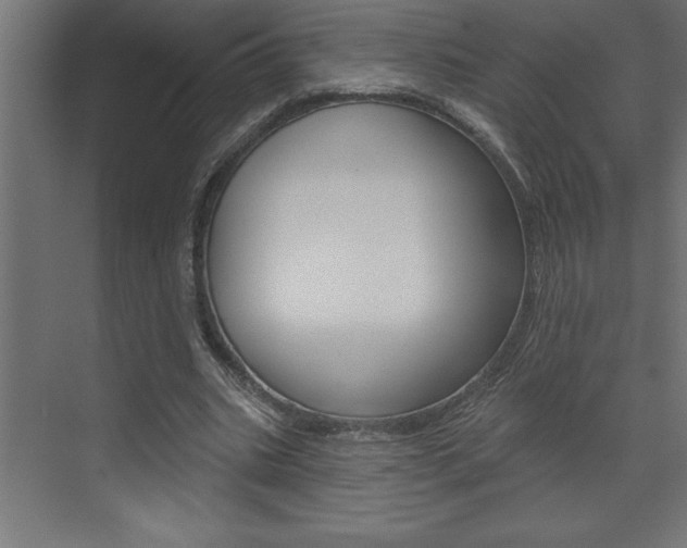 X0000072920535200607210908