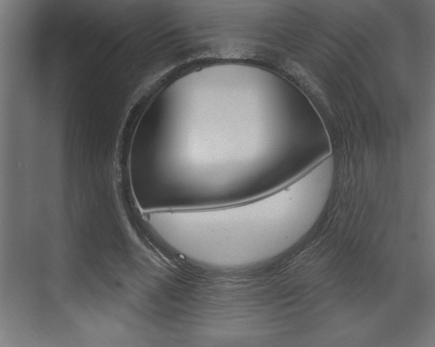 X0000072920536200607210909