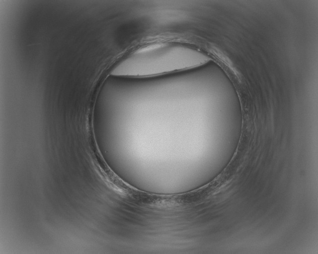 X0000072920537200607210909