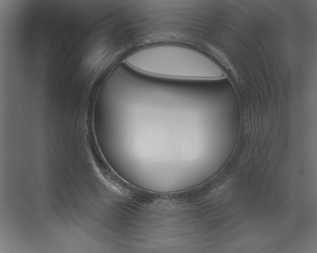 X0000072920538200607210909