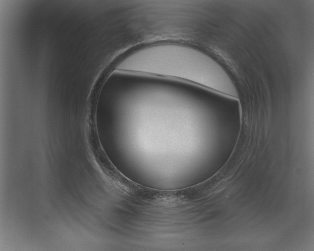 X0000072920540200607210909